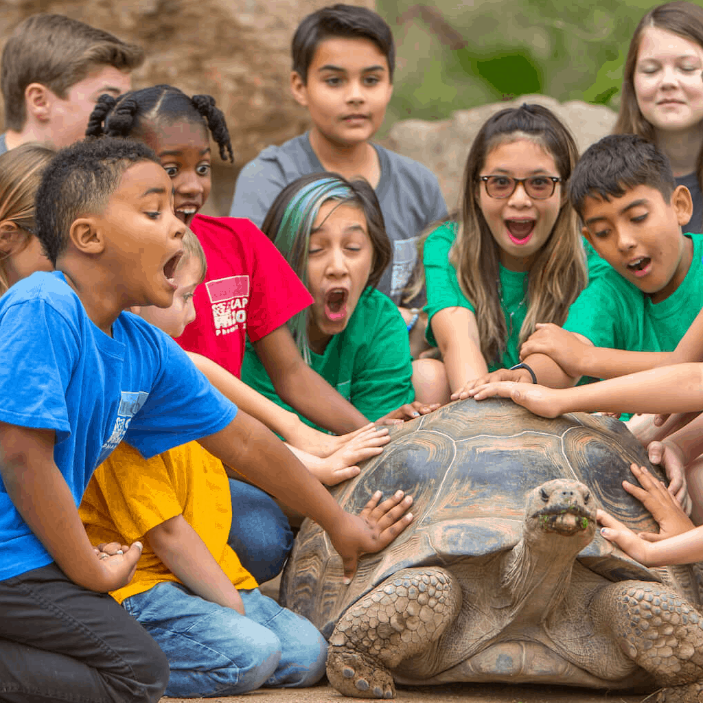 Posible Programs  Camps Phoenix Zoo