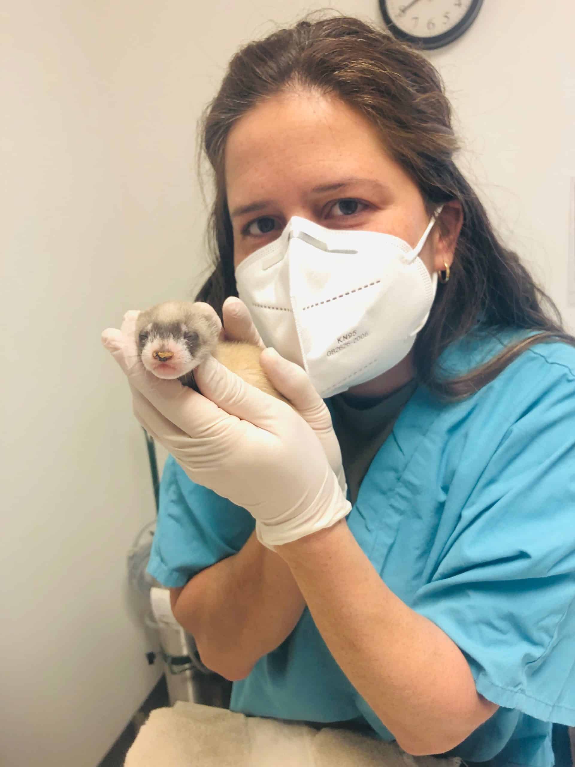 National Vet Tech Week - Phoenix Zoo