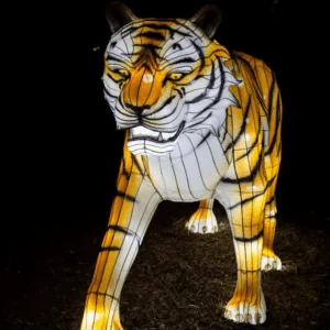 Tiger Art