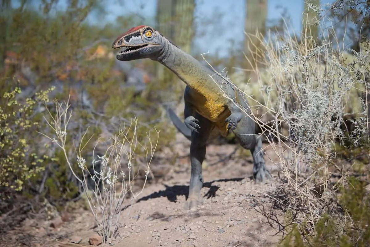 Dinosaurs in the Desert - Phoenix Zoo