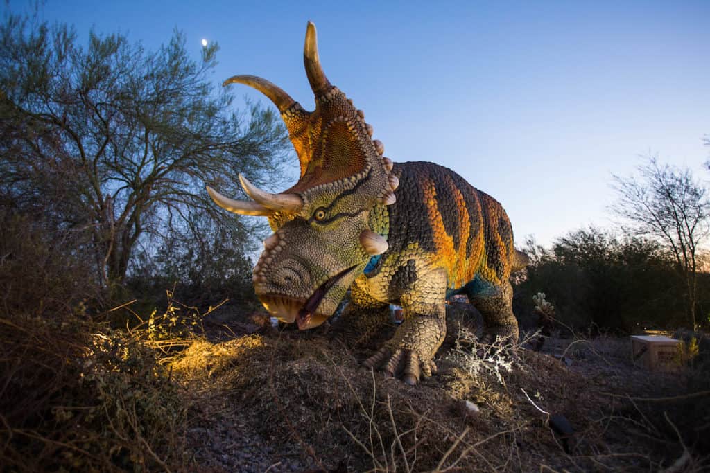 Dinosaurs In The Desert Phoenix Zoo