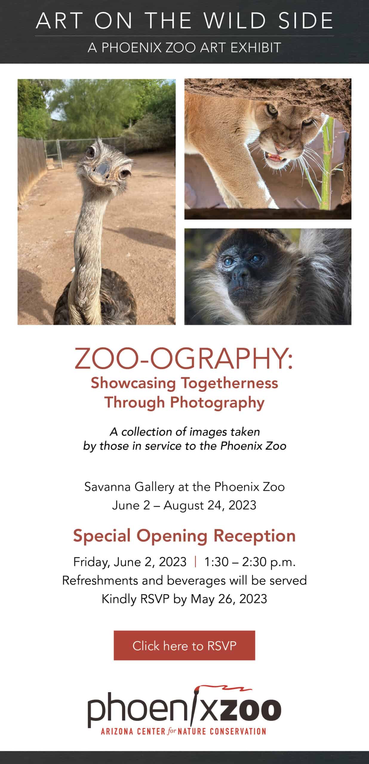 Zoo-ography Reception - Phoenix Zoo