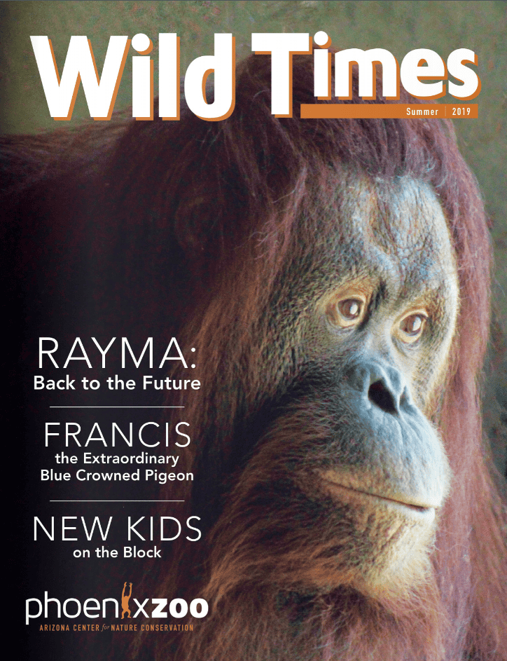 Wild Times Digital Magazine | Phoenix Zoo